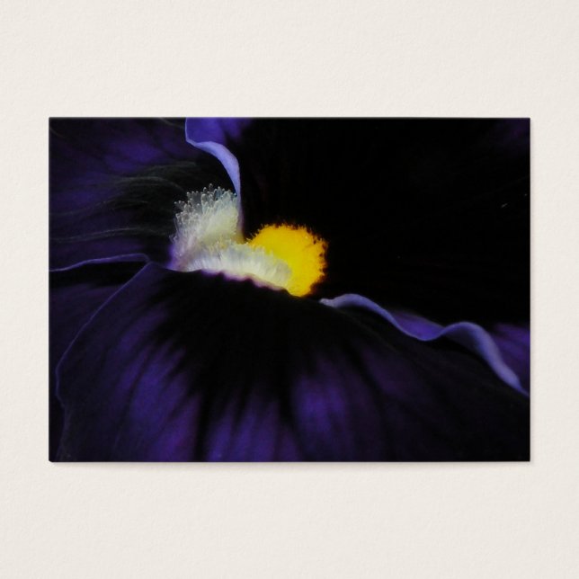 Paarse Viola Macro ATC 2 Visitekaartjes (Voorkant)