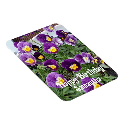 Paarse Viola Pansy Bloemen Bloemen Bloemen Verjaar Magneet (Rechterzijde)