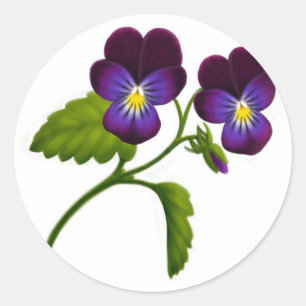 Paarse Viola Pansy Flowers Ronde Sticker