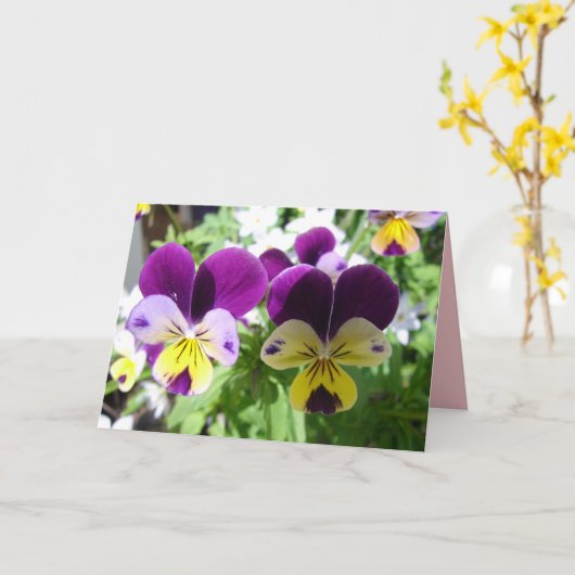 Paarse Viola Pansy Mooie Bloem bloemkaart Kaart (Gele Bloem)