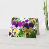 Paarse Viola Pansy Mooie Bloem bloemkaart Kaart (Voorkant)