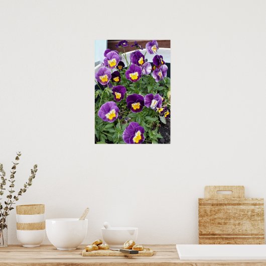 Paarse Viola Violas Bloementuin Poster (Keuken)