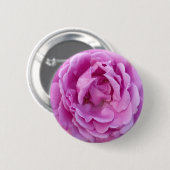 Paarse Violet Flower Roos Ronde Button 5,7 Cm (Voorkant /achterkant)