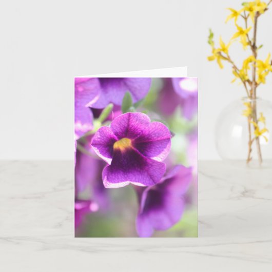 Paarse Violet Notecards Kaart (Gele Bloem)