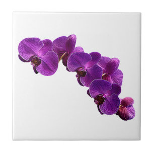 Paarse Violet Orchid Flower Vine Tegeltje