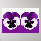 Paarse Violet Pansy Flowers Poster (Voorkant)