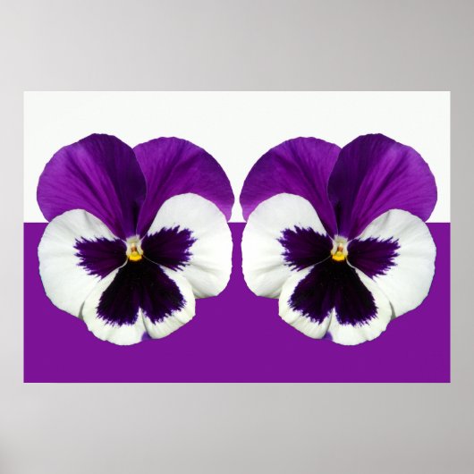 Paarse Violet Pansy Flowers Poster (Voorkant)