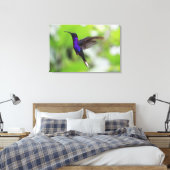 Paarse Violet Sabrewing kolibrie Canvas Foto (Insitu (Slaapkamer))