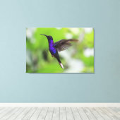 Paarse Violet Sabrewing kolibrie Canvas Foto (Insitu (Houten vloer))