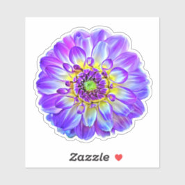 Paarse Violet Tips Dinner Bord Dahlia Pinnata Sticker