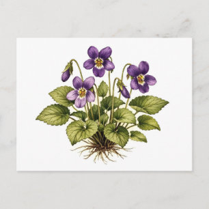 Paarse Violet Vintage Stijl Botanisch Briefkaart