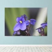Paarse violette bloem bloeit canvas afdruk (Insitu (Houten vloer))