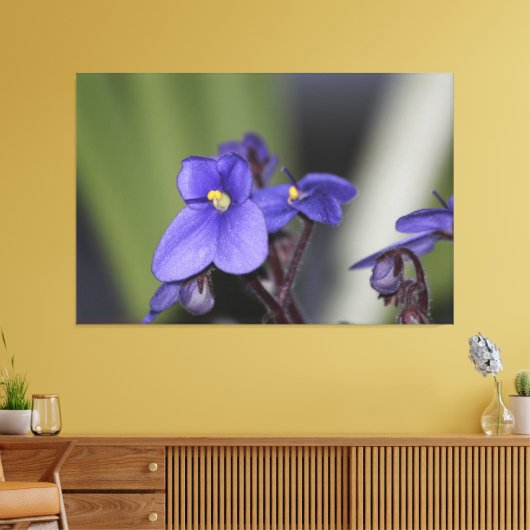 Paarse violette bloem bloeit canvas afdruk (Insitu (Woonkamer))