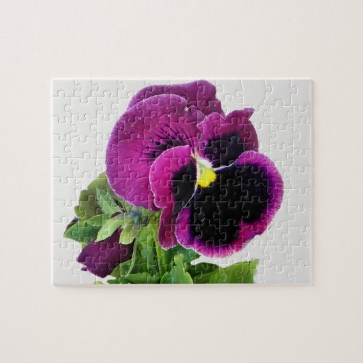 paarse viooltje puzzel (Horizontaal)
