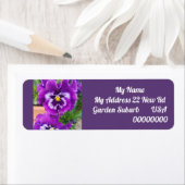 Paarse Viooltjes Bloem Bloem Retour Adres Labels (Insitu)
