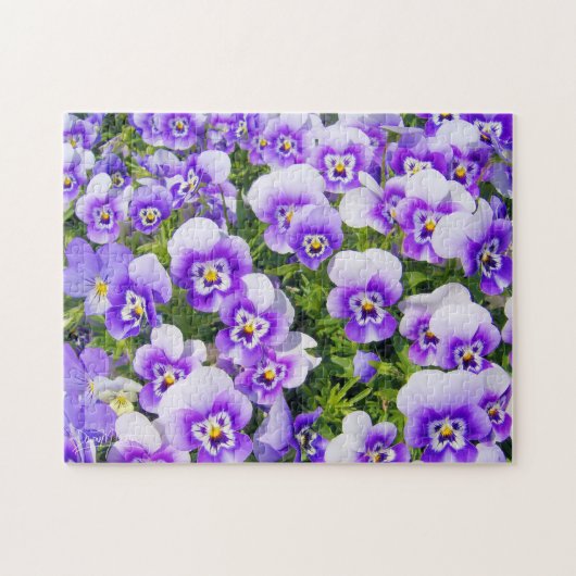 Paarse viooltjes legpuzzel (Horizontaal)