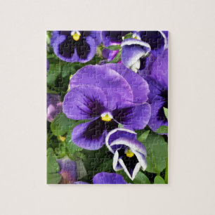 paarse viooltjes legpuzzel