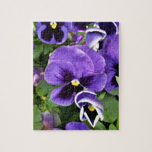 paarse viooltjes legpuzzel (Verticaal)