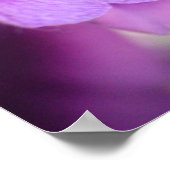 Paarse Viooltjes Muurposter Poster (Hoek)