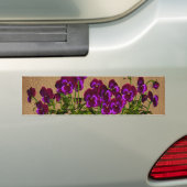 Paarse Viooltjes op Oud Document Bloemen Bumpersticker (Op auto)