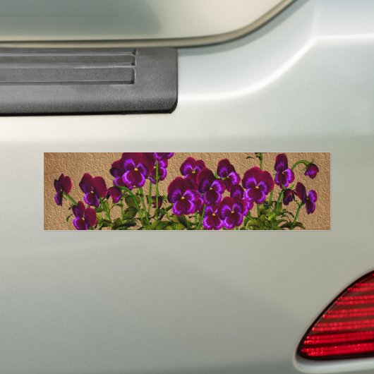 Paarse Viooltjes op Oud Document Bloemen Bumpersticker (Op auto)