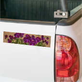 Paarse Viooltjes op Oud Document Bloemen Bumpersticker (Op Truck)