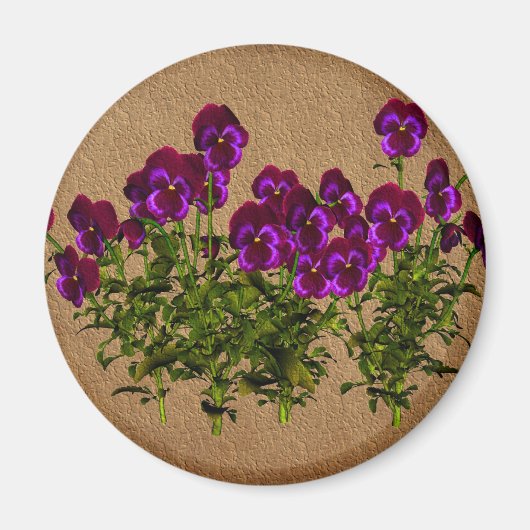 Paarse Viooltjes op Oud Document Bloemen Magneet (Voorkant)