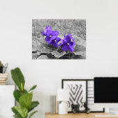 Paarse Viooltjes, Poster (Thuiskantoor)