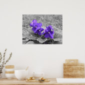 Paarse Viooltjes, Poster (Keuken)