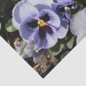 Paarse Viooltjes Tissuepapier (Detail)