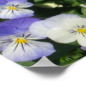 Paarse Viooltjes Tuin Bloemen Poster (Hoek)