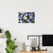 Paarse Viooltjes Tuin Bloemen Poster (Thuiskantoor)