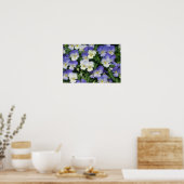 Paarse Viooltjes Tuin Bloemen Poster (Keuken)