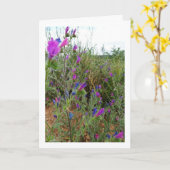 Paarse Viper's-bugloss, Echium Plant Kaart (Gele Bloem)