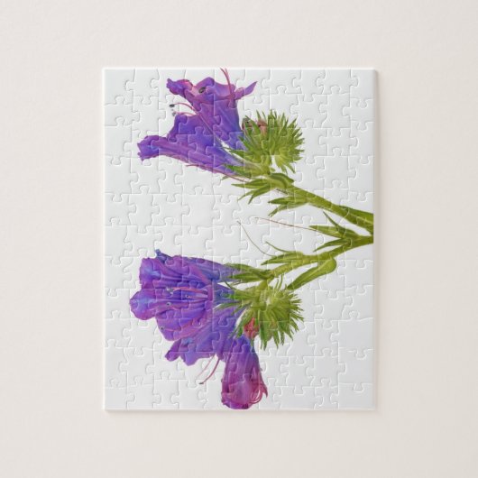 Paarse vipers (echium plantagineum) legpuzzel (Verticaal)