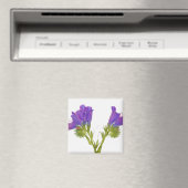 Paarse vipers (echium plantagineum) magneet (Insitu (Vaatwasser))