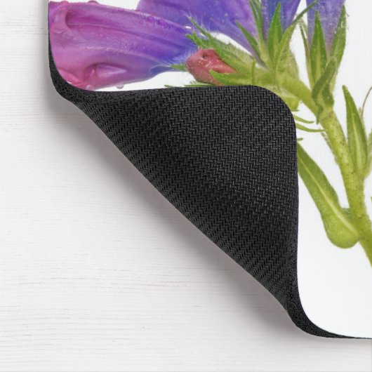 Paarse vipers (echium plantagineum) muismat (Hoek)