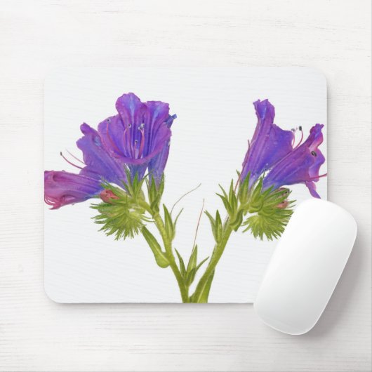 Paarse vipers (echium plantagineum) muismat (Met muis)