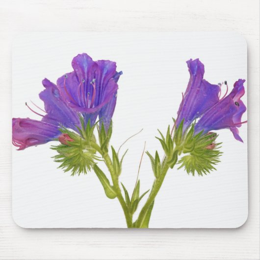 Paarse vipers (echium plantagineum) muismat (Voorkant)