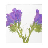 Paarse vipers (echium plantagineum) notitieblok (Voorkant)