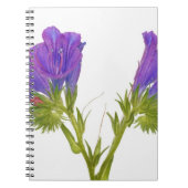 Paarse vipers (echium plantagineum) notitieboek (Voorkant)