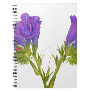 Paarse vipers (echium plantagineum) notitieboek