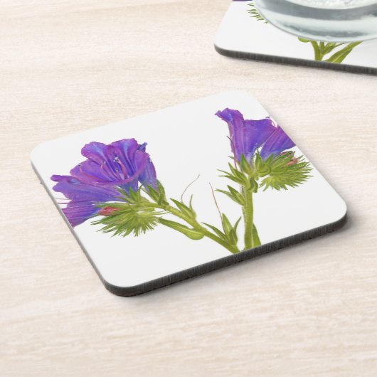 Paarse vipers (echium plantagineum) onderzetter (Linkerzijde)