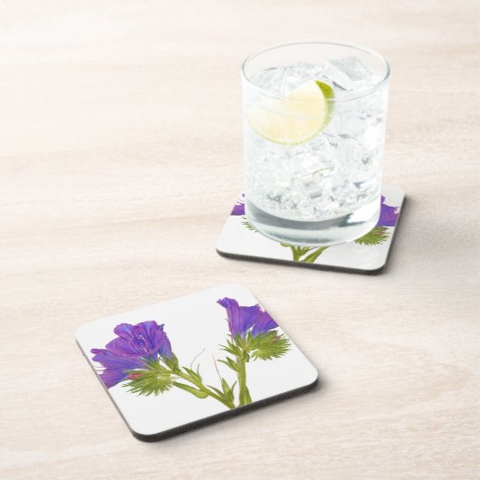 Paarse vipers (echium plantagineum) onderzetter (Rechterzijde)