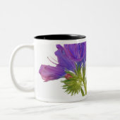 Paarse vipers (echium plantagineum) tweekleurige koffiemok (Links)