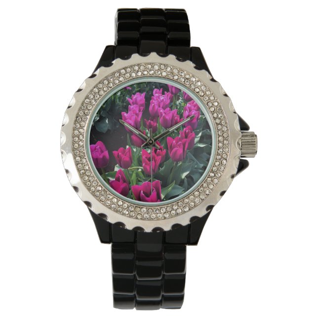 Paarse vlaggetulpen, Oregon Horloge (Voorkant)