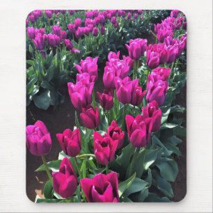 Paarse vlaggetulpen, Oregon Muismat