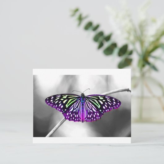 Paarse vlinder briefkaart (Staand voorkant)