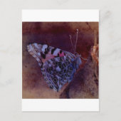 Paarse vlinder briefkaart (Voorkant)