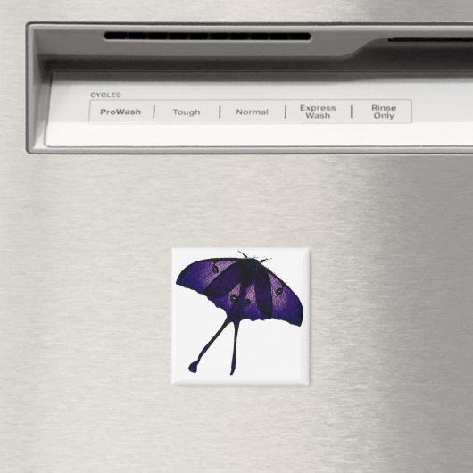 Paarse vlinder in de voorjaarstuin Natuur Foto Magneet (Insitu (Vaatwasser))